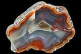 Beautiful Condor Agate From Argentina - Cut/Polished Face #79204-1